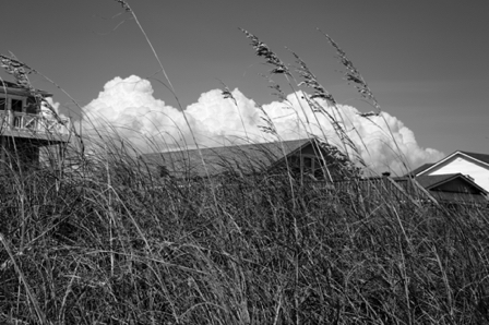 BH3A1582 - Version 2.jpg